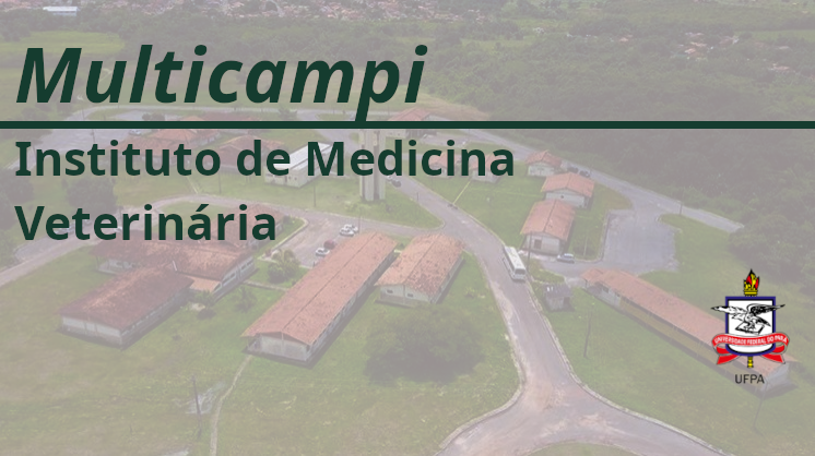 Aumento da Conectividade no Instituto de Medicina Veterinária (IMV) da UFPA